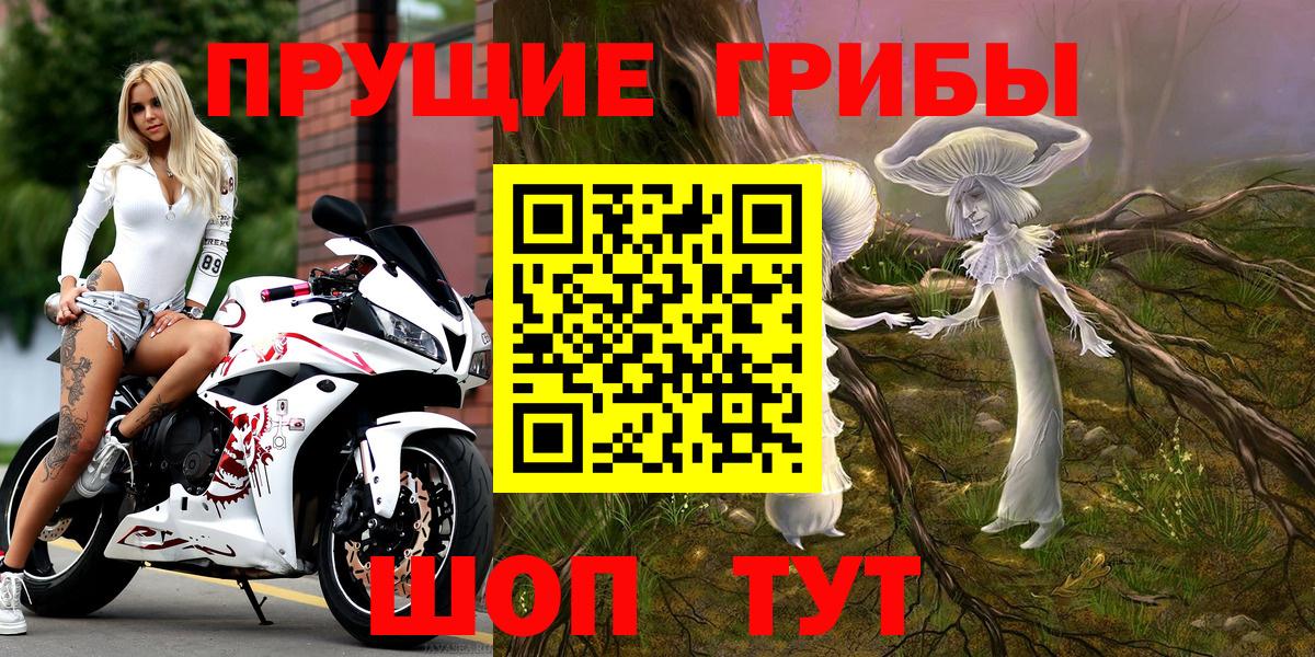 Псилоцибиновые грибы мицелий Канаш