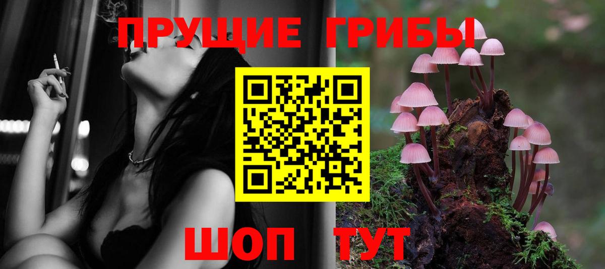 Канаш  Галлюциногенные грибы Psilocybine cubensis  Галлюциногенные грибы MAGIC MUSHROOMS  где купить наркоту  Вход с VPN 